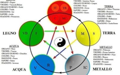 Introduzione ai 5 Movimenti
