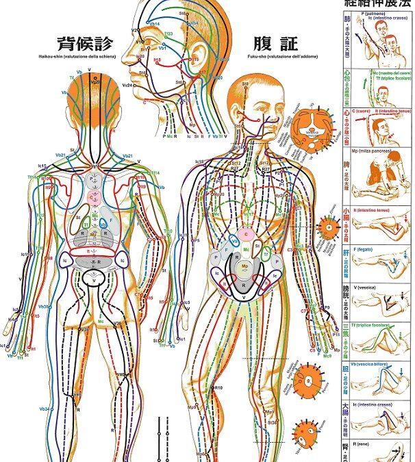 Introduzione ai meridiani energetici